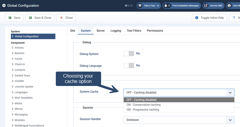 A screenshot showing the available Joomla cache options