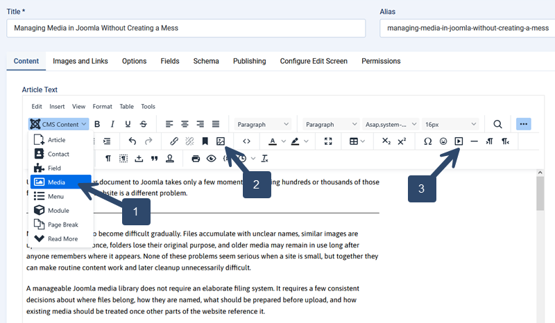 Joomla TinyMCE editor showing three options for inserting images and media