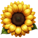Avatar for Helen