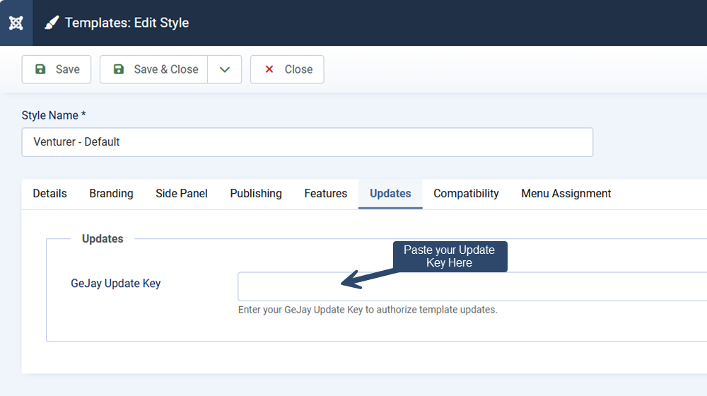 A screenshot showing where to paste your copied update key on your website
