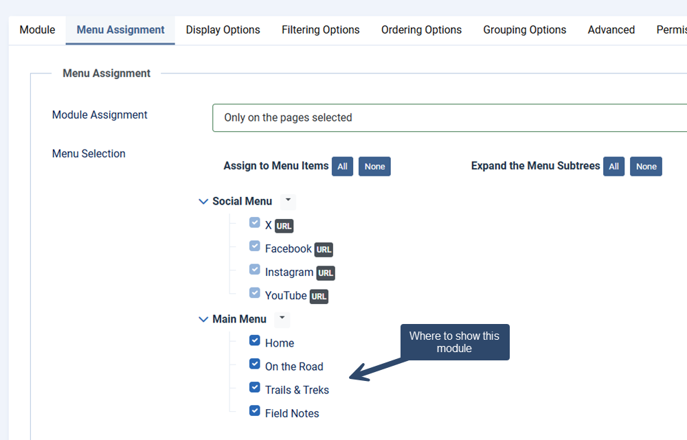 Showing the module assignment positions for a particular module