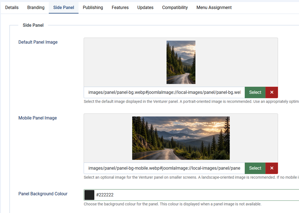 Screenshot showing the settings for your side panel image options