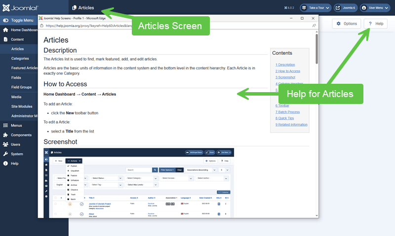screenshot showing the help when in a section
