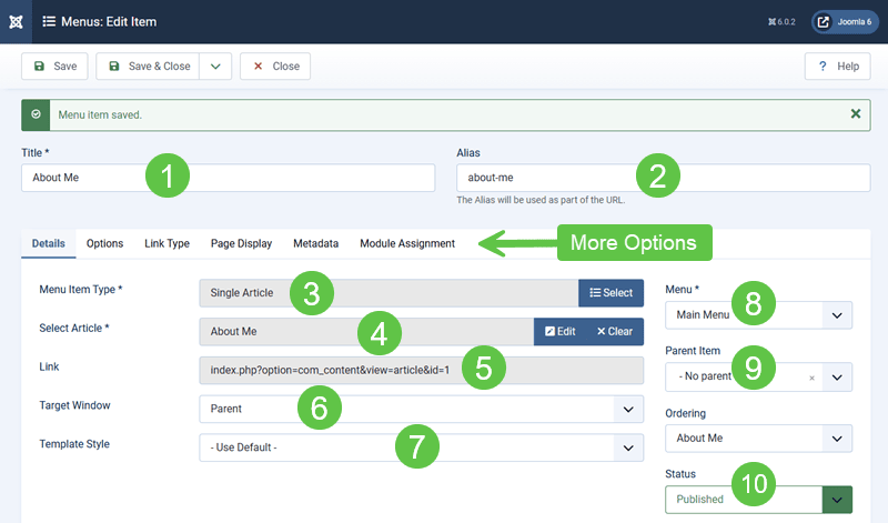 Screenshot showing the various settings and options for the Article menu item type