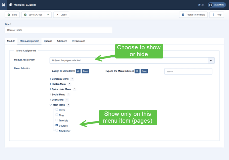 screenshot showing an example of a module being assigned to a menu item (page)