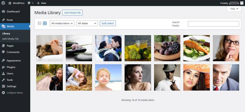 Screenshot showing the WordPress Media Library