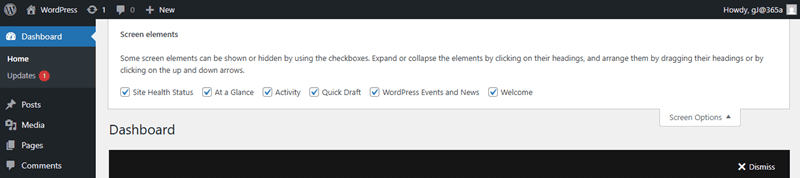 screenshot showing what settings you have under Screen Options